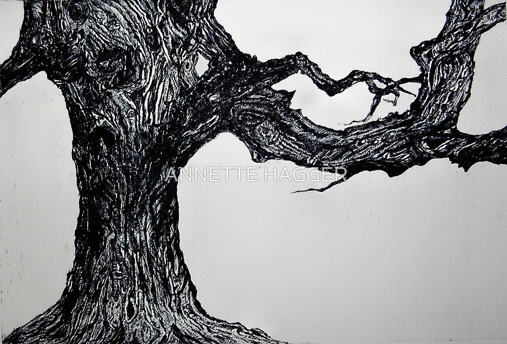 "BEECH TREE - ETCHING " by ANNETTE HAGGER  Redbubble
