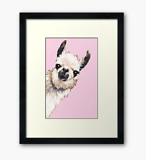 Sneaky Llama Framed Print