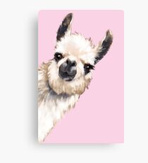 Sneaky Llama Canvas Print