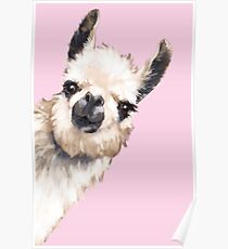Póster Llama sigilosa