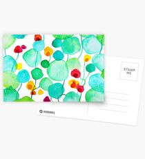 nasturtiums Postcards