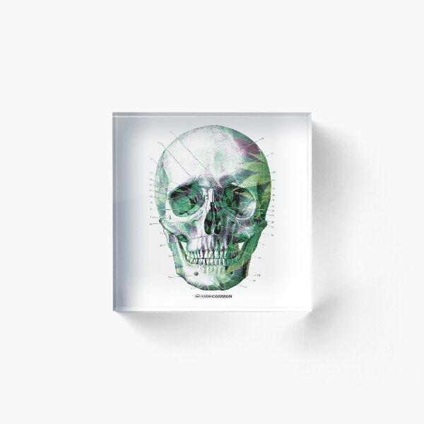 Pot Head Acrylic Block