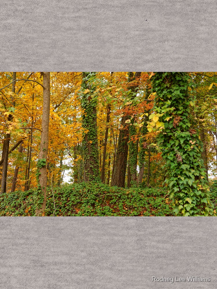 When November Comes by Rodwilliams