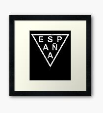 Stylish Espana Spain Framed Print