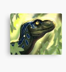 Baby raptor Canvas Print