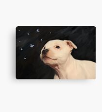Staffy puppy!! Canvas Print