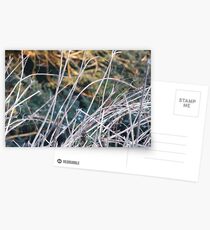 Abstract Steep Postcards