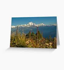 From thistle up... Poon Hill, Nepal Greeting Card