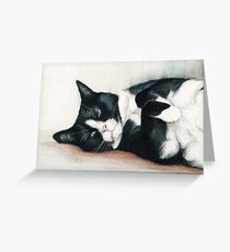 Cozy Tuxedo Cat Greeting Card