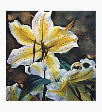 Lily Frenzy Photographic Print