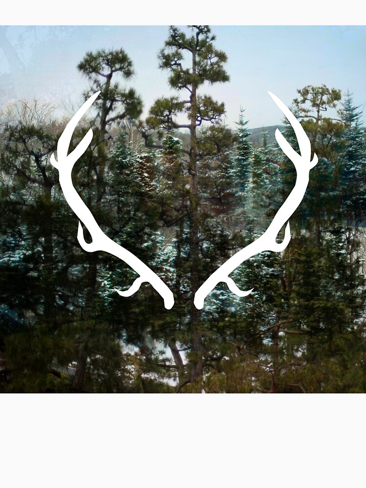 Antlers by juliasaidwhat
