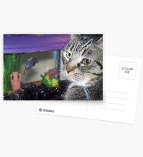 Elmos Pet Fish Postcards