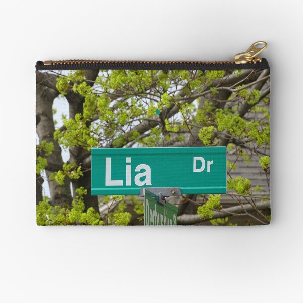 Lia Drive Zipper Pouch