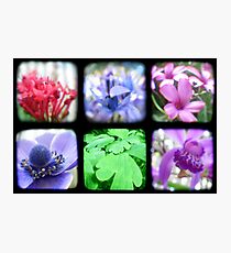 My Garden Through the Viewfinder Photographic Print