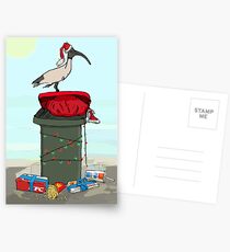 Bin Chicken Hits The Beach for Xmas Postcards