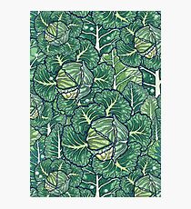 dreaming cabbages Photographic Print