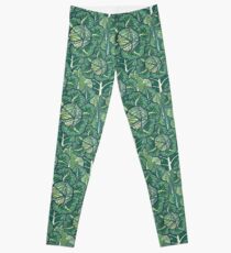 dreaming cabbages Leggings