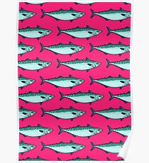 Tasty mackerel pattern Poster