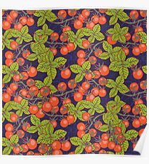 mysterious night in space garden with cherry tomatoes and basil Poster