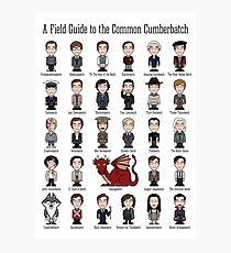 A Field Guide to the Common Cumberbatch (print/poster) Photographic Print