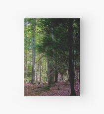 Into the woods Hardcover Journal