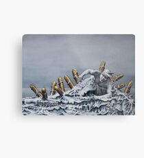 Frozen Metal Print