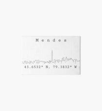 Shawn Mendes Toronto Coordinates Art Board