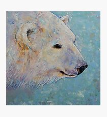 Polar Bear Photographic Print