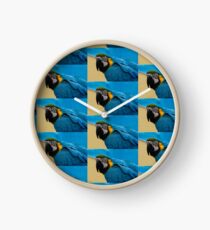 Blue-and-Gold Macaw Parrot Clock