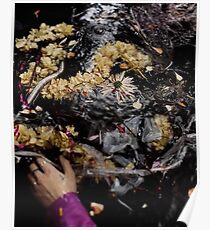 harry styles water Poster