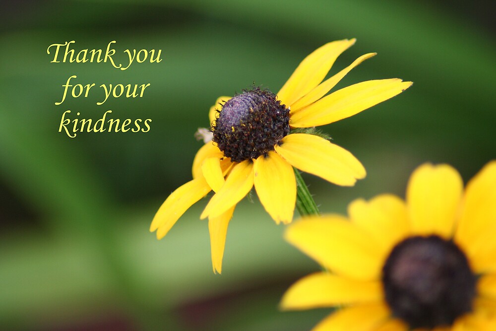 How To Say Thank You To Someone For Their Kindness