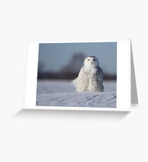 Saint Snowy Greeting Card