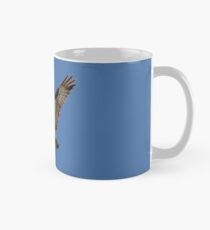 Osprey (Pandion haliaetus) Mug