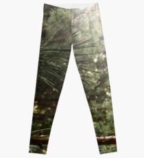 Pine Leggings