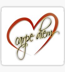 "Carpe Diem" by Tony DuPuis Sticker