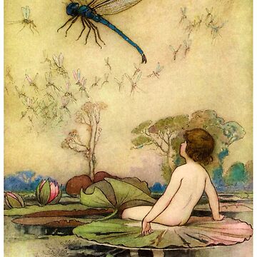Artwork thumbnail, The Boy and the Dragonfly fairytale by Glimmersmith