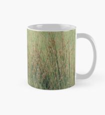 Kangaroo playing hide and seek Mug