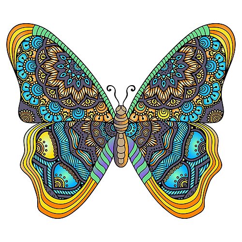 Butterflies 111 (Style:3)