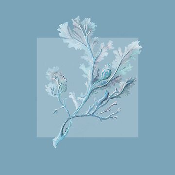 Artwork thumbnail, Botanical seaweed in mid blue by LisaLeQuelenec