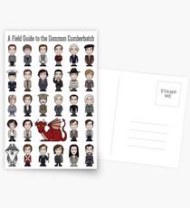 A Field Guide to the Common Cumberbatch (card/notebook) Postcards
