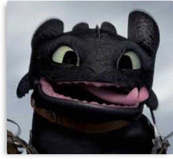 10 inch toothless