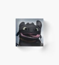 cute toothless Acrylic Block