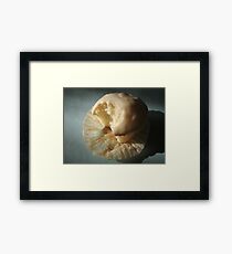 cupcake Framed Print