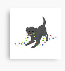 A Affenpinscher Christmas Canvas Print