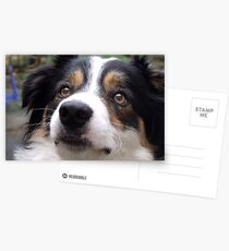 The Charm of Laddie. Postcards