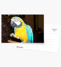 Big Bird Postcards