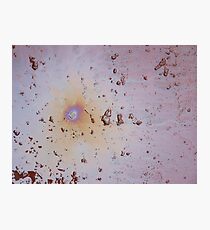 Oleo Photographic Print