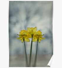 Wishing for Warmer Weather Poster