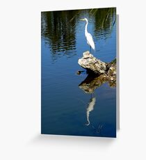 Great Egret Greeting Card