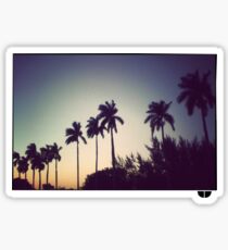 florida palms Sticker